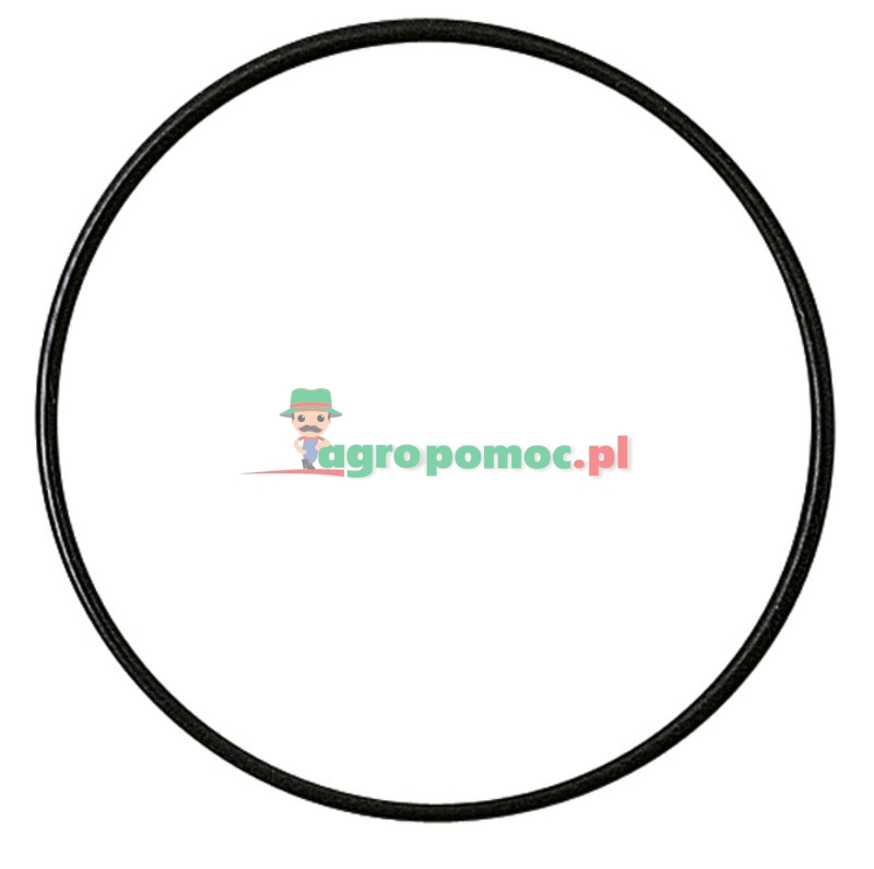 O-Ring | zdjęcie nr 1